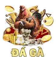 Ứng dụng di động C54 iOS